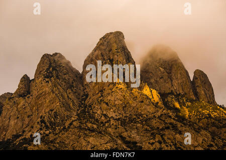 Hasenohren in den Organ Mountains im Morgenlicht in Organ Mountains – Wüste Gipfeln National Monument, New Mexico, USA Stockfoto