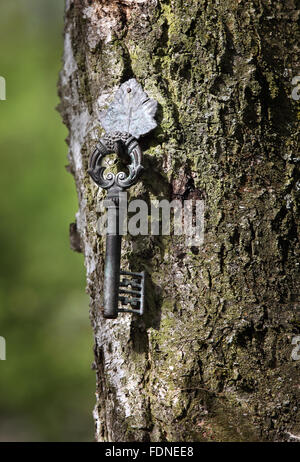 Berlin, Deutschland, antike Schlüssel hängt an einem Baumstamm Stockfoto
