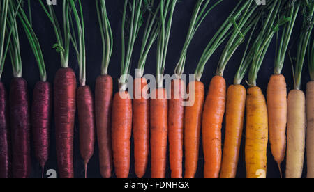 Multi farbige Karotten Stockfoto