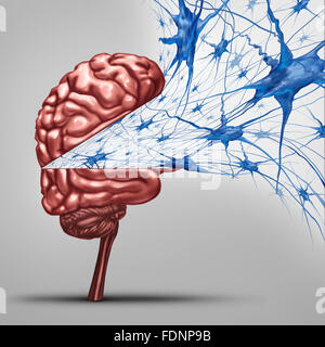 Gehirn-Neuronen-Konzept und menschliche Intelligenz medizinische Symbol dargestellt durch ein offenes Denken Organ mit aktiven Neuron-Gruppe mit Stockfoto