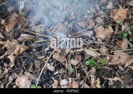Kleines Feuer in den Blättern des Waldbodens, winzig, aber vielleicht der Beginn von etwas größerem. Februar 2016 Stockfoto