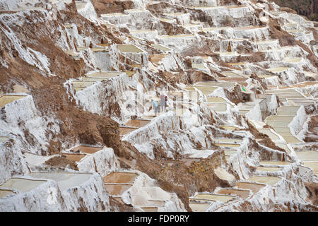 Salina de Maras, traditionellen Inka Salz Feld in Maras in der Nähe von Cuzco in Peru Sacred Valley. Stockfoto