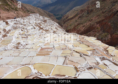 Salina de Maras, traditionellen Inka Salz Feld in Maras in der Nähe von Cuzco in Peru Sacred Valley. Stockfoto