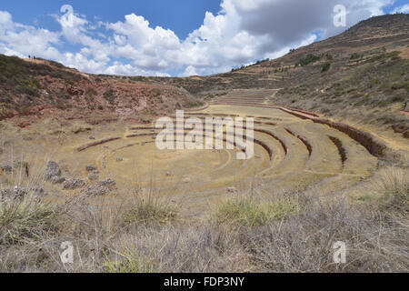 Terrasse der Inka Ruinen in Moray, Cuzco, Peru Stockfoto