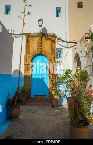 Typische Straße der Kasbah von Udayas in Rabat, Marokko. Nordafrika. Kasbah von der Udayas ist eine kleine befestigte Anlage. Stockfoto