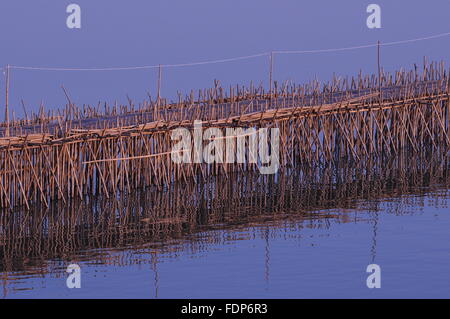 Die Bambus-Brücke über den Mekong River, Kampong Cham, Kambodscha. © Kraig Lieb Stockfoto