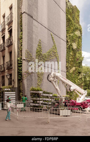 Dekorieren eine Gartenmauer eines Hauses mit Blumen und Pflanzen. Madrid, Spanien. Stockfoto