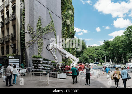 Dekorieren eine Gartenmauer eines Hauses mit Blumen und Pflanzen. Madrid, Spanien. Stockfoto