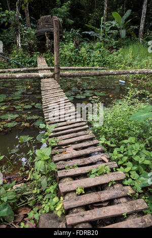 Schmale Holzbrücke Stockfoto