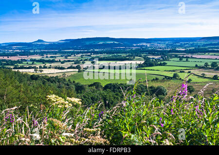 Sommer Blick aus Ton-Bank über Ackerland im Tal, Nähe Topping und den Cleveland Hills, North York Moors England UK Stockfoto