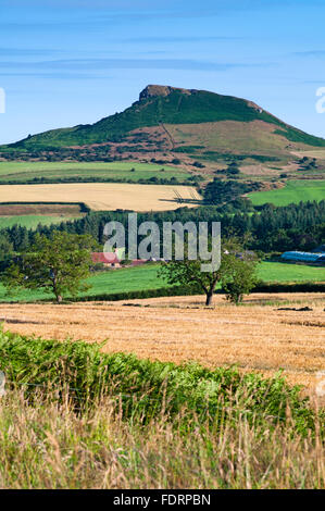 Sommer Aussicht, Nähe Topping auf Ackerland, reifende Gerste in Felder, Gribdale, in der Nähe von Great Ayton, North York Moors Stockfoto