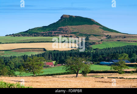 Sommer Aussicht, Nähe Topping auf Ackerland, reifende Gerste in Felder, Gribdale, in der Nähe von Great Ayton, North York Moors Stockfoto