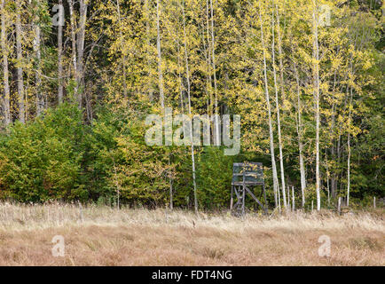 Jagd Kanzel, Turm, versteckt im Wald. Ackerland fallen diesseits, Herbst. Einige Espe Bäume im Hintergrund. Stockfoto