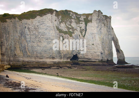 Küste und Klippen in Fecamp, Haute-Normandie, Frankreich Stockfoto