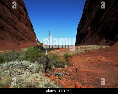 Zu Fuß durch einen Canyon an den Olgas (Kata Tjuta) im Northern Territory von Australien Ansicht mit strahlend blauen Himmel Stockfoto