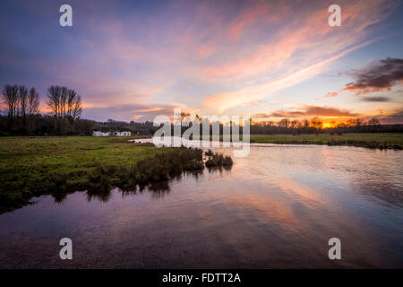 Ein Blick über den Fluss Test bei Chilbolton häufig in Hampshire. Stockfoto