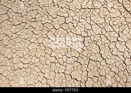 Trockener, rissiger Schlamm in Clark Dry Lake in Anza-Borrego Desert State Park, Kalifornien Stockfoto