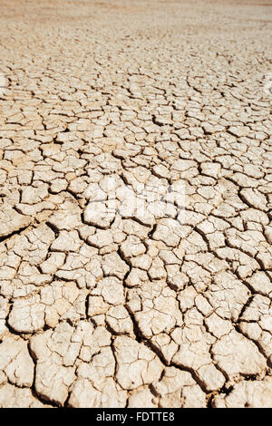 Trockener, rissiger Schlamm in Clark Dry Lake in Anza-Borrego Desert State Park, Kalifornien Stockfoto