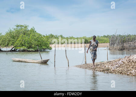 Fischer in das Dorf von Elia, Guinea Bissau Stockfoto