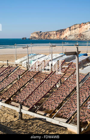 Trocknen der Fische am Strand in Nazare, Portugal Stockfoto