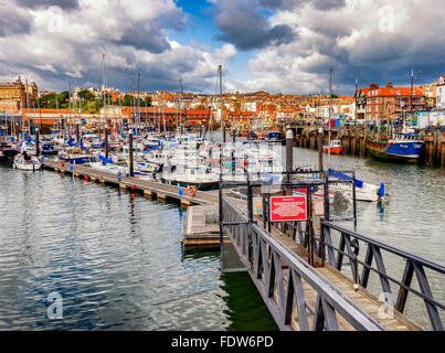 Yachten ankern in der Marina im Hafen von Scarborough Stockfoto