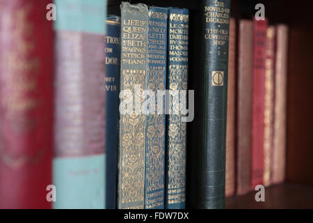 Alte, Vintage, bunte Bücher im Bücherregal Stockfoto