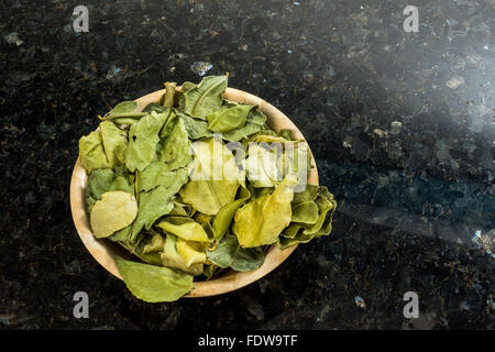 Getrocknete Kaffir-Limettenblätter Gewürz würzen würde die Kuchen, die Citrus Hystrix Backen Getränke schöne mix Getränke trinken Kaffir lim Stockfoto