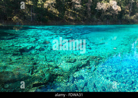 Fünf-farbigen Schwimmbad, Jiuzhaigou Nationalpark, Provinz Sichuan, China, UNESCO-Weltkulturerbe Stockfoto
