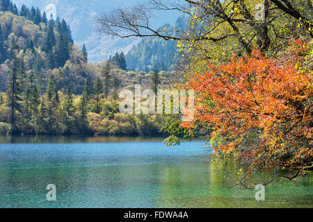 Panda Lake, Jiuzhaigou Nationalpark, Provinz Sichuan, China, UNESCO-Weltkulturerbe Stockfoto