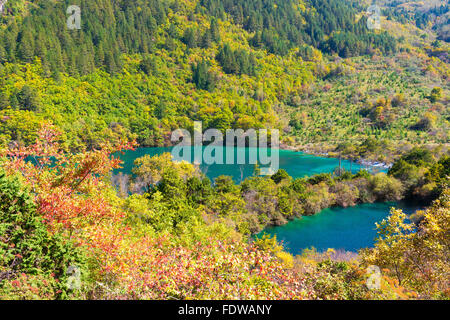 Sparkling Lake, Jiuzhaigou Nationalpark, Provinz Sichuan, China, UNESCO-Weltkulturerbe Stockfoto