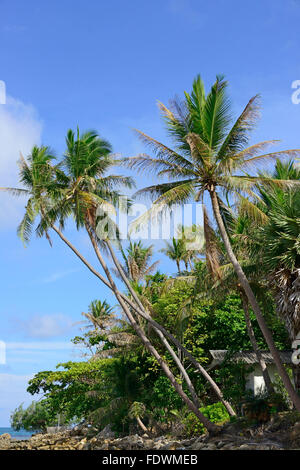 Haad Salad Strand bei Ebbe, Koh Phangan, Thailand Stockfoto