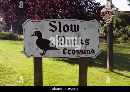 Langsam Ducks Crossing Schild, Blackmore, Essex, Stockfoto