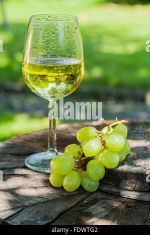 gekühlter Wein im Garten Stockfoto