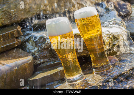 Deutsche gekühltes Bier im Garten Stockfoto