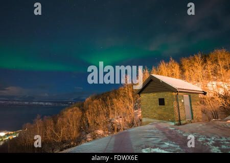 Die Aurora Borealis - Polarlichter tanzen über Narvik In Norwegen Stockfoto