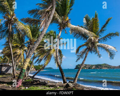 Ein Dorf am Meer Grenada West Indies Stockfoto