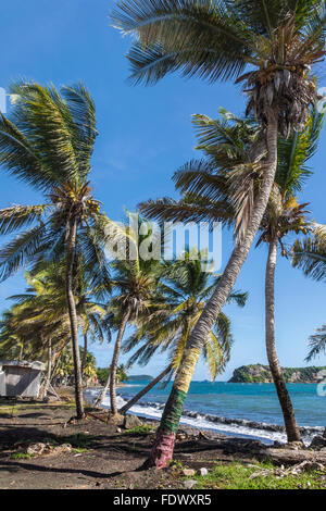 Ein Dorf am Meer Grenada West Indies Stockfoto