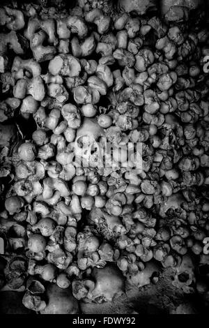 Menschliche Schädel an den Wänden der Kapelle des Verstorbenen, Capela Dos Ossos, Alcantarilha, Algarve, Portugal Stockfoto