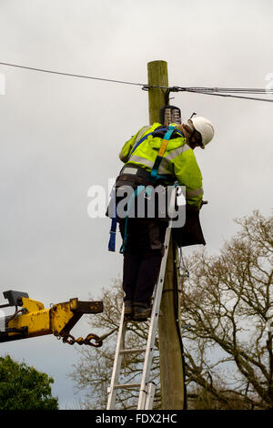 British Telecom Ingenieur einen Telegrafenmast in Salisbury an einem kalten winterlichen Tag ersetzen Stockfoto