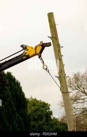 British Telecom Ingenieur einen Telegrafenmast in Salisbury an einem kalten winterlichen Tag ersetzen Stockfoto