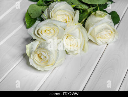 Weiße Rosen auf Whiteboards. Stockfoto