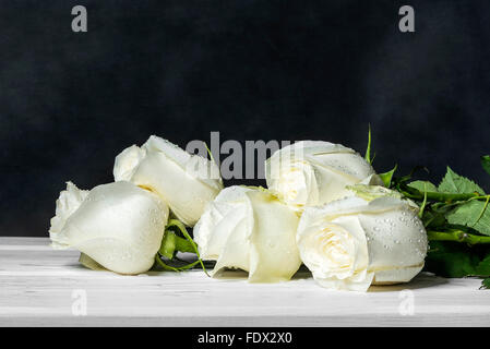 Weiße Rosen auf Whiteboards. Stockfoto