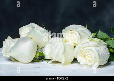 Weiße Rosen auf Whiteboards. Stockfoto