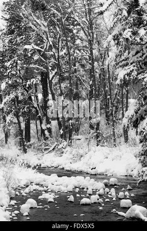 Oberen Roaring Fork River nach Schneesturm Stockfoto