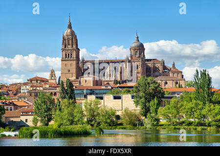 Neue Kathedrale in Salamanca - Blick vom Flussufer, Kastilien, Spanien Stockfoto