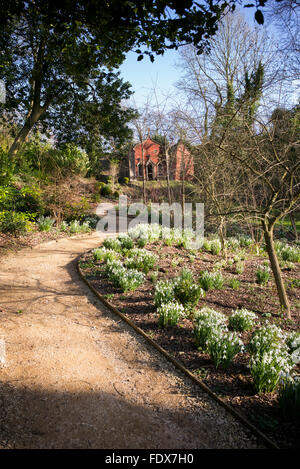 Schneeglöckchen und Fußweg zum roten Haus in Painswick Rokoko Gardens. Cotswolds, Gloucestershire, UK Stockfoto