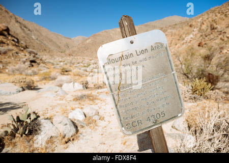 Ein Schild Warnung Berglöwe Aktivität im Höllenloch Canyon, Anza-Borrego Desert State Park, Kalifornien Stockfoto