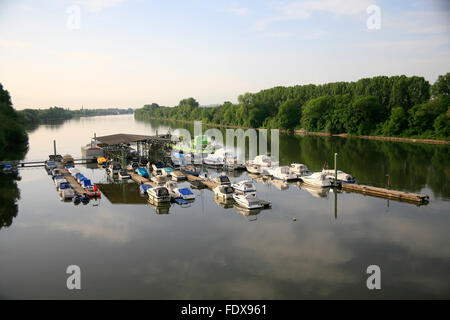 DEU, Deutschland, Hessen, Wiesbaden, Stadtteil Mainz-Kastel, Bootswerft am Alt-Rhein Stockfoto