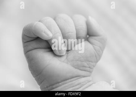 Nahaufnahme der Hand ein Neugeborenes, Baby 5 Tage alt. Stockfoto