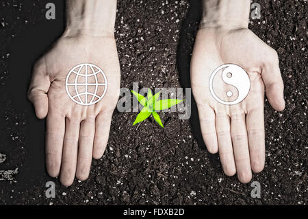 Menschliche Hände halten einen grünen Spross und Ökologie Symbole Stockfoto